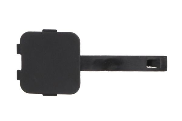 Rear BLIC 6502-07-0511970P Bumper Cover, trailer hitch for CITROËN