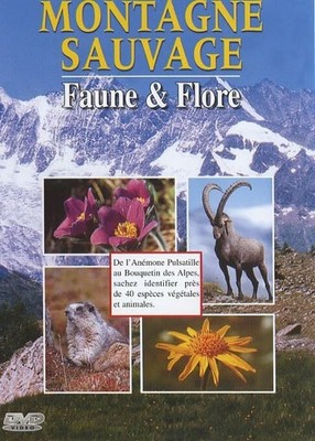 Wildgebirge - Fauna & Flora - - V2051188