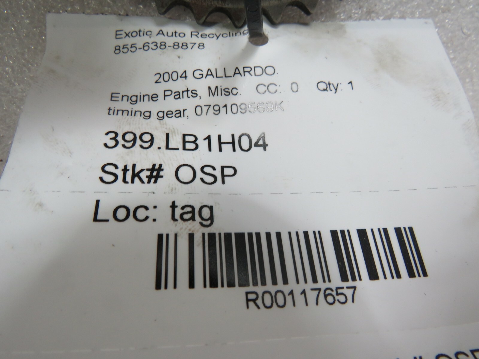 Lamborghini Gallardo, Timing Gear, Used, P/N 079109569K