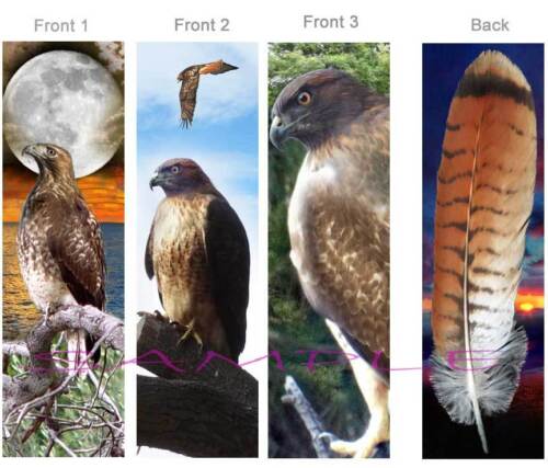 3 RED TAILED HAWK BOOKMARK Tail Feather Bird Animal Book Mark ART CARD Figurine - Picture 1 of 1