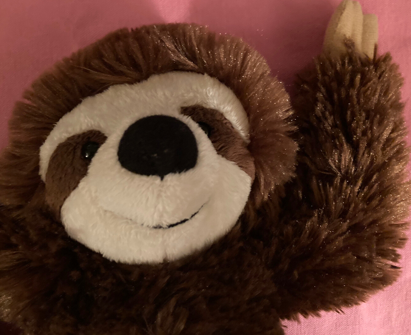 webkinz sloth