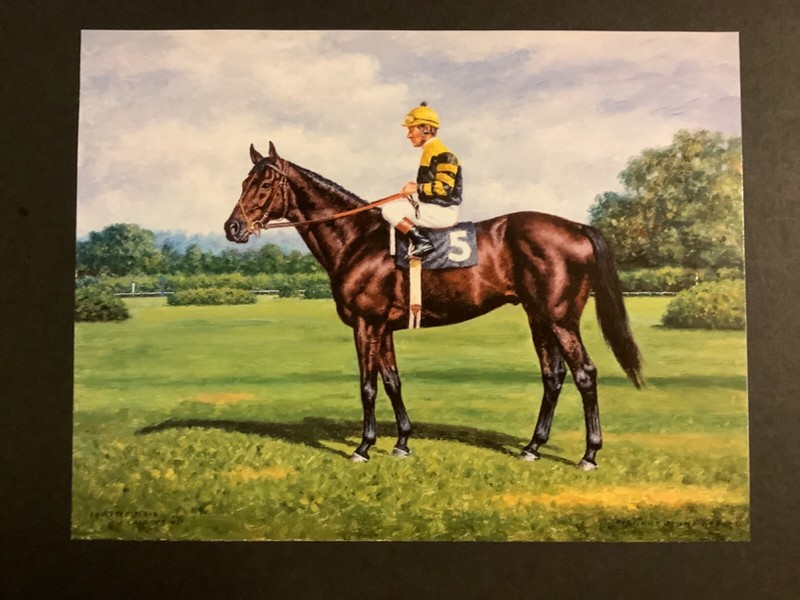 SEATTLE SLEW  photo Horse Racing 1977 TRIPLE CROWN