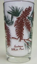 Eastern White Pine Peanut Butter Glass Glasses Drinking Kitchen Mauzy 57-4