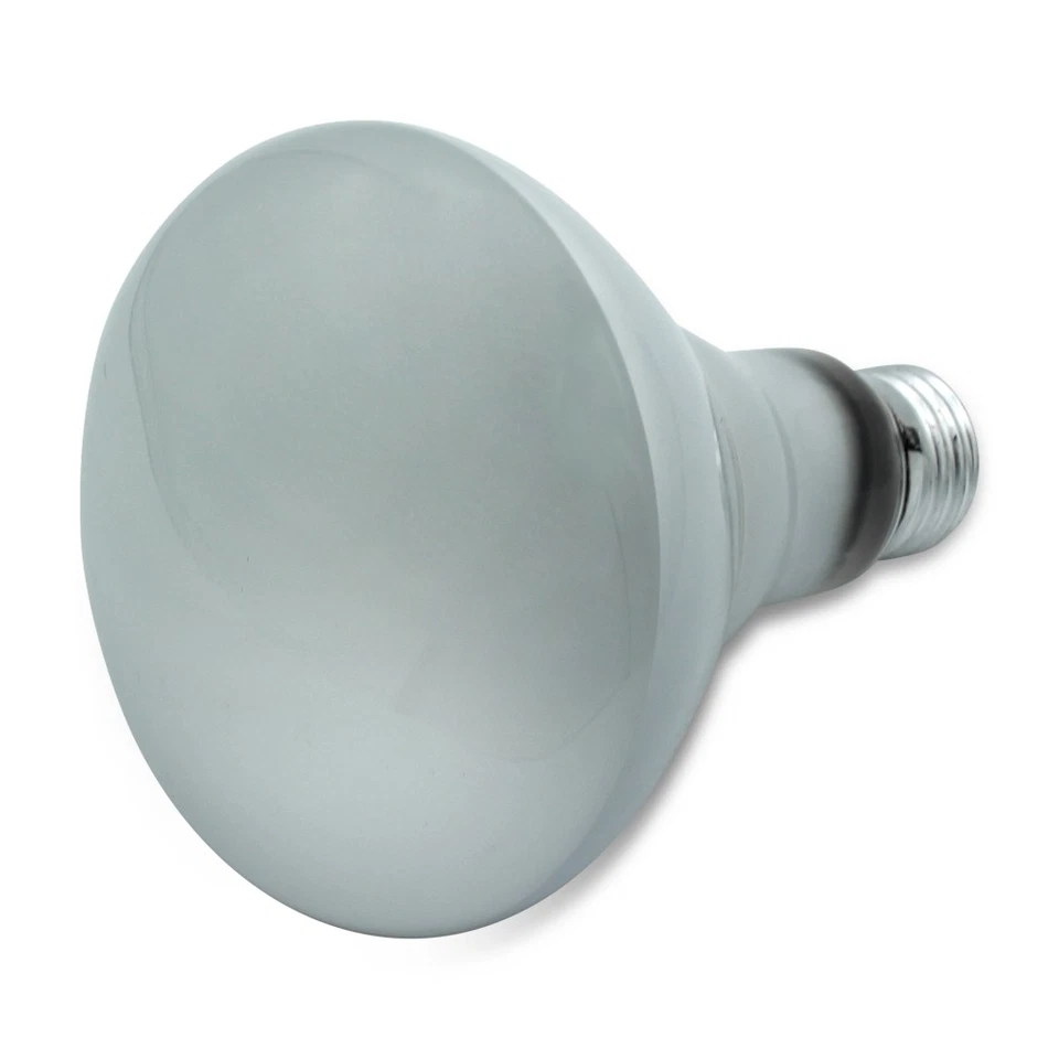 (6) Replacement Bulb for LIGHT BULB / LAMP 75R30/FL/RP 65W 120V - Image 4 of 4