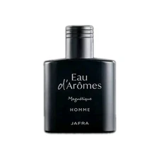 Jafra Eau D'Aromes Magnetique Men's 100ml 3.3 fl oz Free Shipping 
