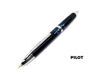 Pilot Vanishing Point Raden Stripe 18K Fountain Pen *DDP for U.S buyer*