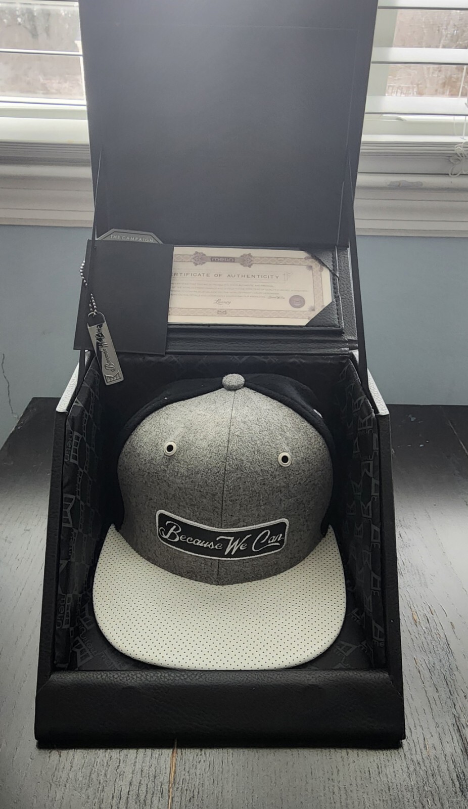 🔥Limited Edition🔥 Melin The Campaign "Because We Can" Luxury Hat