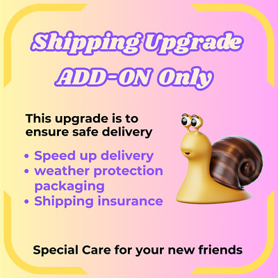 EXPRESS Shipping UPGRADE for Snails Orders Add on Only*