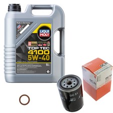 Filtre à huile Seat TERRA