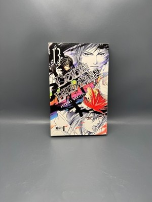 CODE:BREAKER 13 von Akimine Kamijyo - Manga