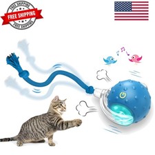 Interactive Cat Toys Ball for Indoor Cats Fast Rolling on Carpet, Chirping ...