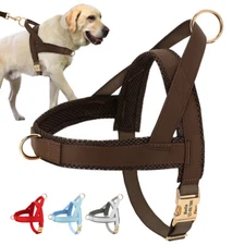 Personalized Pet Dog Harness No Pull Front Clip Mesh Walking Vest Small/Large