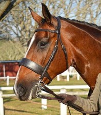 FSS Anatomical HUNTER Bridle Monocrown Show Padded FLAT 6cm 2" Nose PLAITED BROW