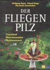 Der Fliegenpilz von Wolfgang Bauer | Buch | Zustand gut