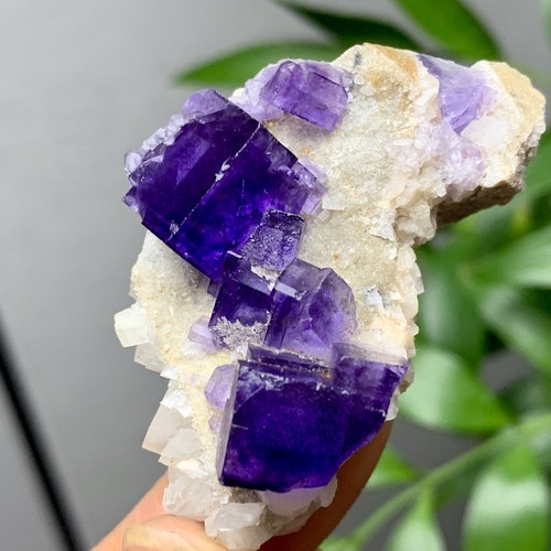 36G Natürliche Transparente Lila Kubische Fluorit Mineral Probe Innere Mongolei - Bild 2 von 21