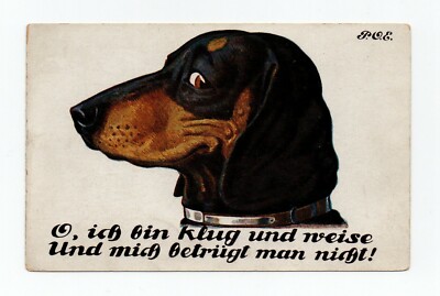 signed illustrator. Chien, Le Dachshund . 