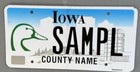 IA Duck Outline Sample License Plate Iowa Sampl Lic Fly — photo 1