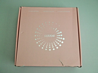 Cobbe 12'' Square Rain Spray Shower Head / Handheld Shower Combo Brushed Nickel