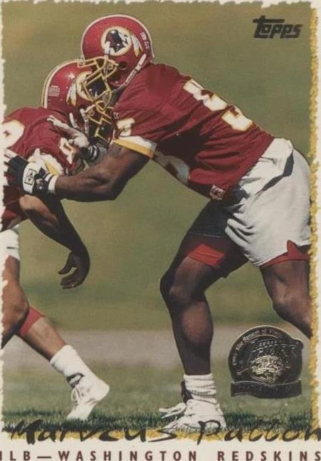 Jacksonville Jaguars Inaugural Season