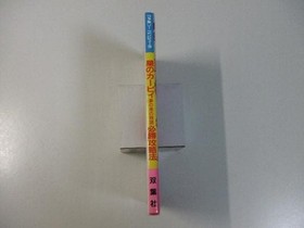 Kirby Dream Land Strategy Guide Nintendo Famicom Game  Book Japanese