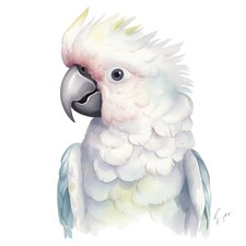 Weißer Ara Papagei 9x9 cm