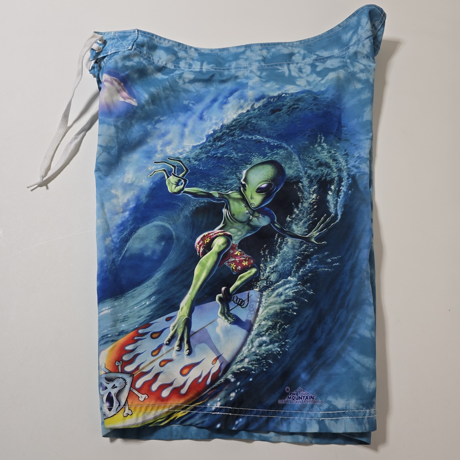 The Mountain Mens Board Shorts Swim Trunks Size 36 Alien Surf Blue Beach Pocket