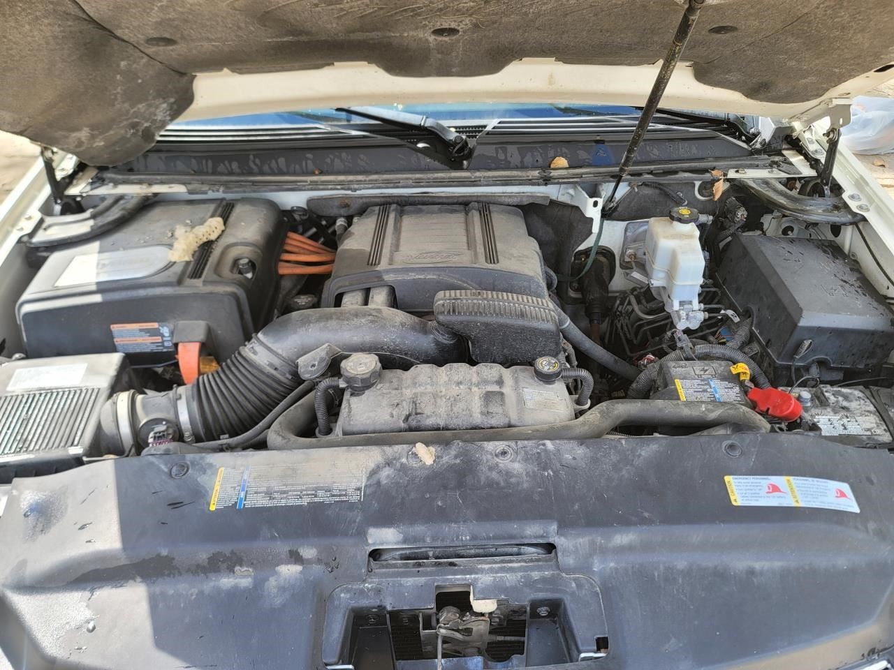 Picture 4