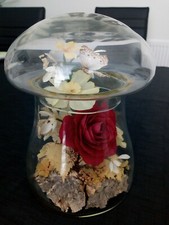 Rare Vintage Butterfly Glass Dome from the 1970s