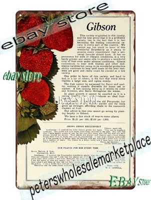 1915 Emlong Nurseries Gibson Strawberry Poster Tin Sign decor
