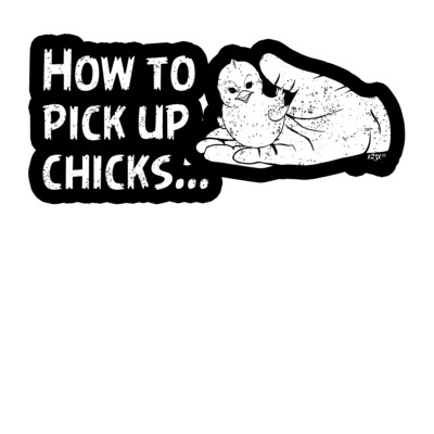 2 x Car Stickers how to pick up chicks Decal Truck Bumper Laptop Window ...