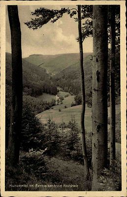 BENNECKENSTEIN Oberharz um 1940 alte AK von Foto-AK Eckardt Nr. 403 Baum