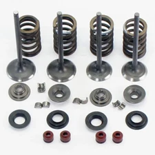 Suitable for CFMoto UForce 500 X5 U5 intake/exhaust valve assembly