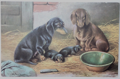 34665 Ancienne Coloriée Künstler-postkarte Dackel-Familie M Enfants 1906 Teckel