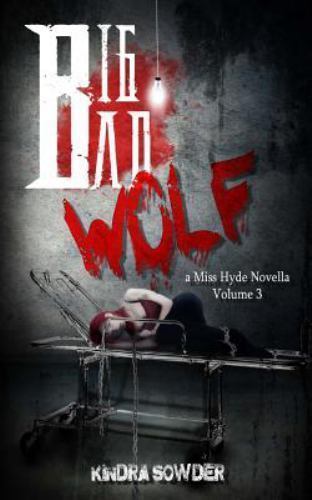 Big Bad Wolf by Kindra Sowder (2016, Trade Paperback) for sale online ...