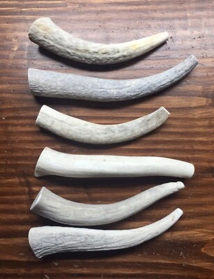 NO BONE LEFT ALONE SALE!! 1 Pound Bargain Bone Elk Antler Dog Chews-S/M Dogs-Free Shipping