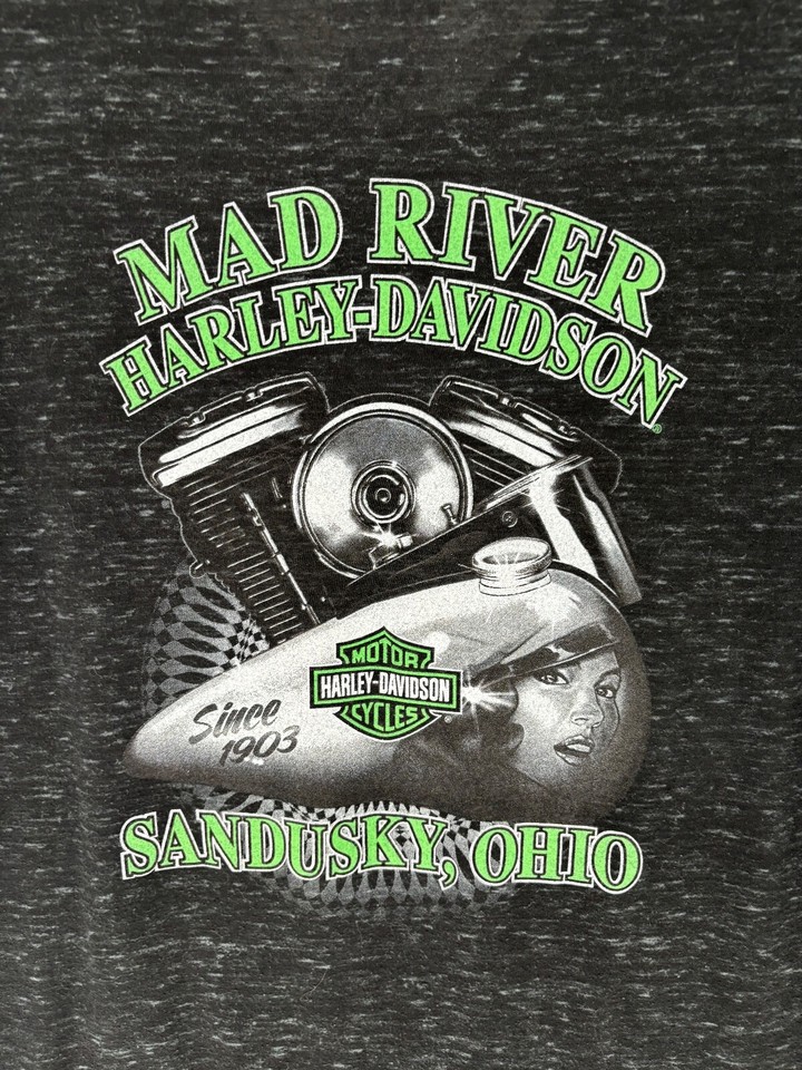 Harley Davidson Good Clean Fun Mens Shirt Size Large Mad River Sandusky