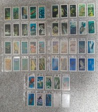 Brooke Bond Foods Ltd. vintage cards, Exploring The Ocean, full set of 48 cards