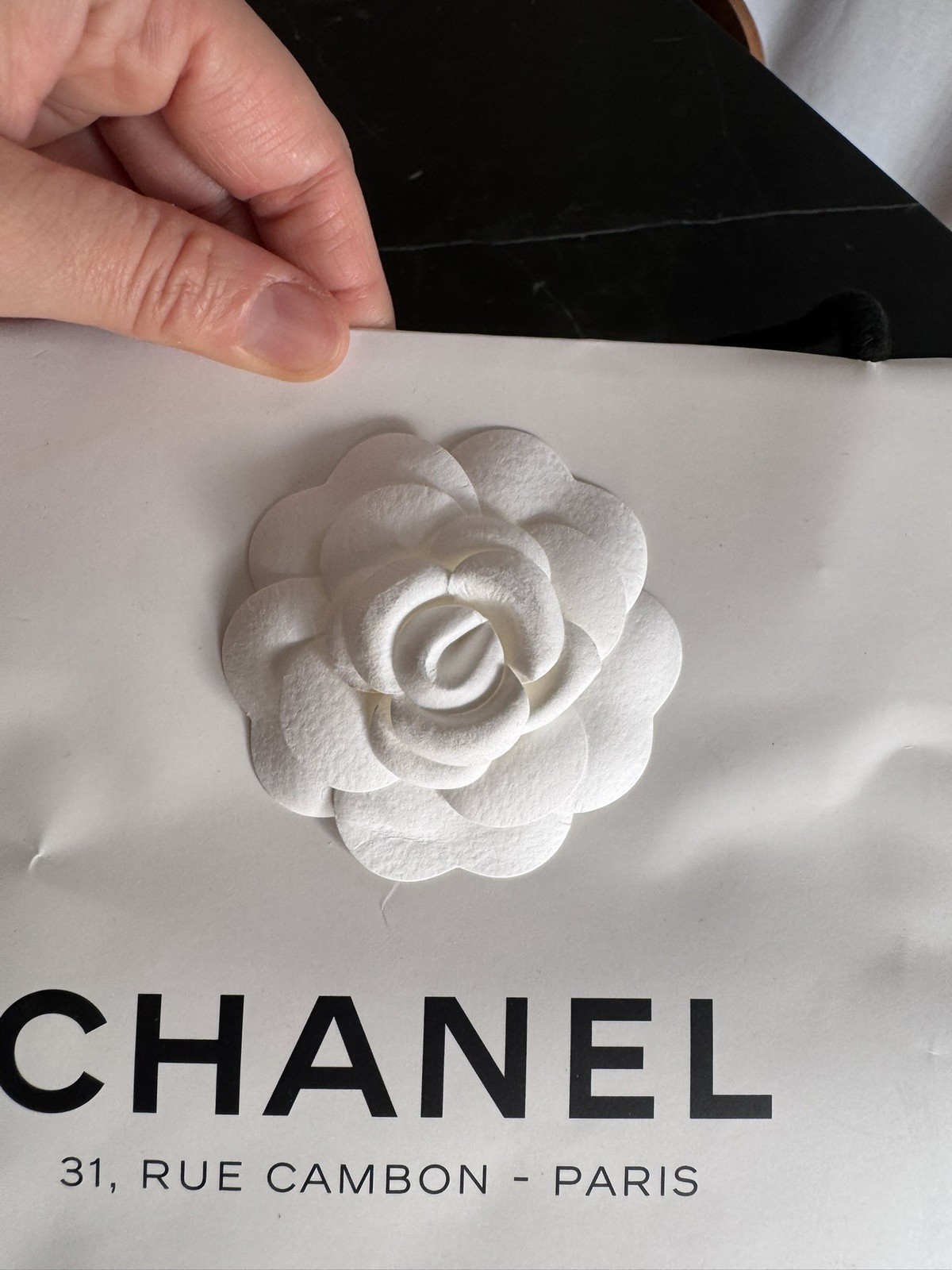 Chanel Empty Bag with  ribbon And Flower. thumbnail 4