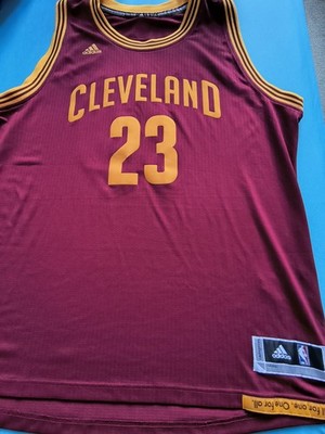 LeBron James Cleveland Cavaliers  Trikot Nba xxl Herren Adidas
