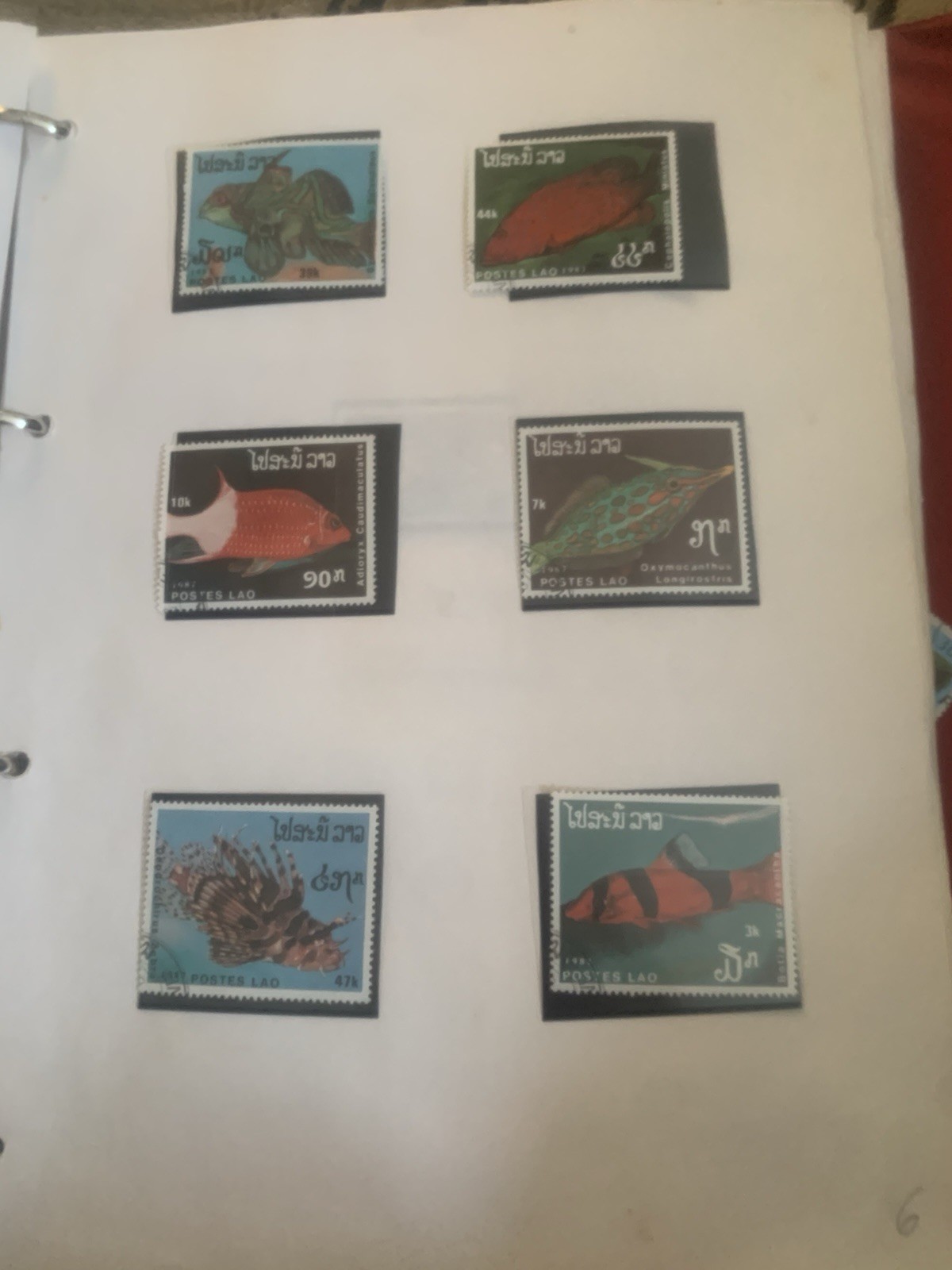Picture 8 of 24