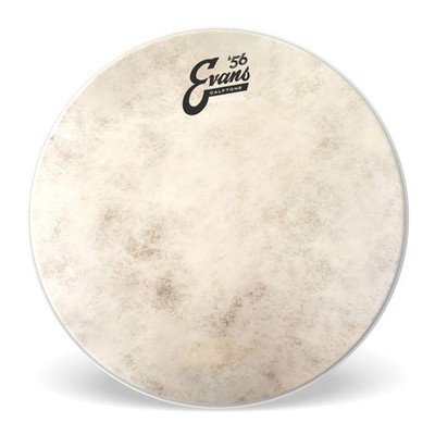 Evans Calftone 14'', TT14C7 Tom Batter / Snare Batter