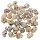 18-20mm Hand Carving Deer Antler Skull Wholesale Lot Bead Cabochon