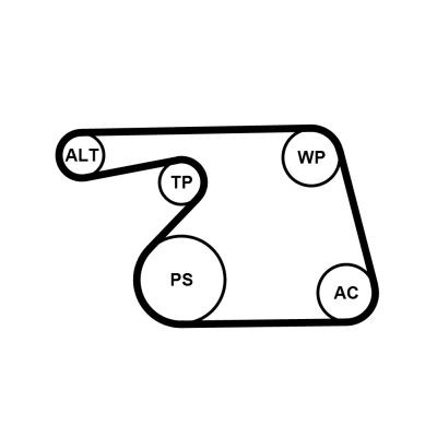 Continental Ctam 6PK1318WP1 Wasserpumpe + Keilrippenriemensatz Opel Suzuki-image
