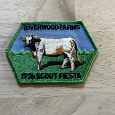 Vintage 1976 SCOUT FIESTA Riverwood Farms -patch
