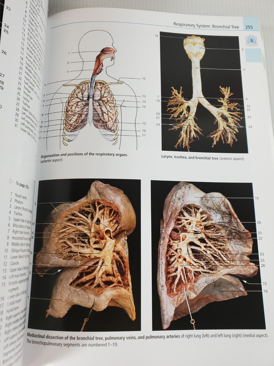 Anatomy: A Photographic Atlas (Color Atlas of Anatomy a