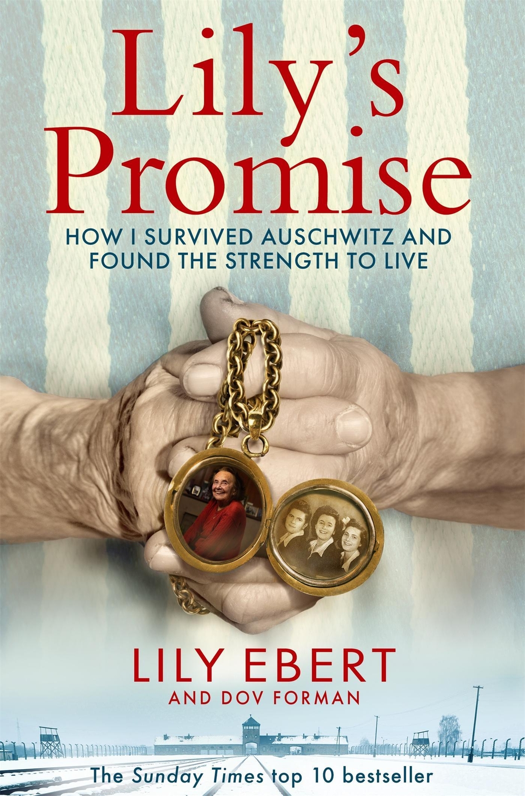 Thumbnail - Lily Ebert / Lily's Promise / 9781529073447