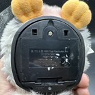 Foto 10 di 11