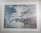 Foto 1 di 9