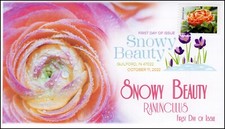 22-284, 2022, Snowy Beauty, Digital Color Postmark, First Day Cover, Ranunculus,
