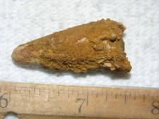 Dinosaur fossil tooth Spinosaurus Cretaceous Era bigger 1.5 inch long D96